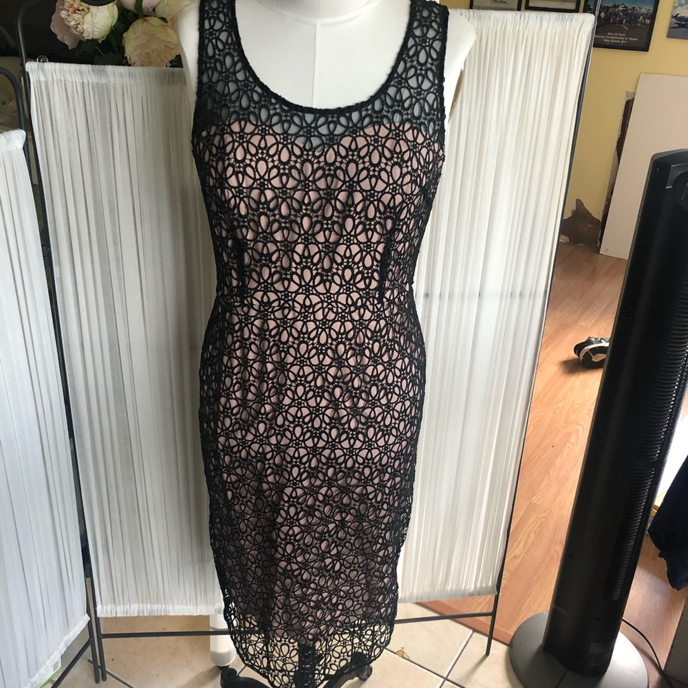 Ann Taylor dress Sz 12 Nude Illusion Lace
